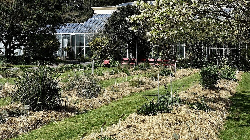 Normandie Caen : Jardin des Plantes