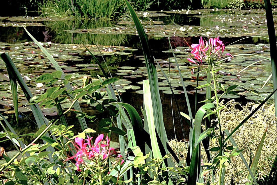 Normandie : le jardin de Claude Monet  à Giverny