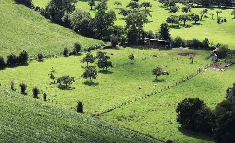 La boucle du Hom en Suisse Normande