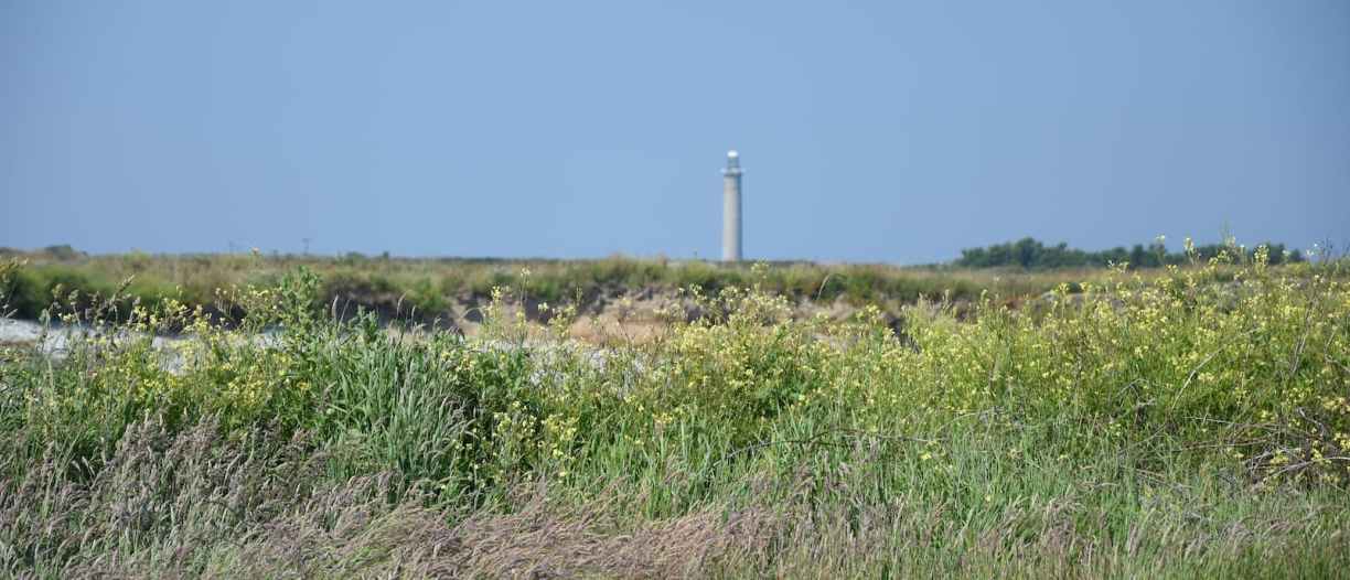 Phare de Goury vu du GR