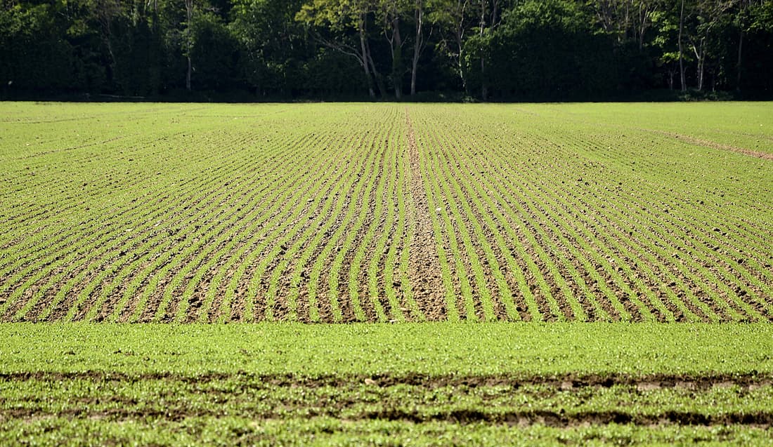 Normandie campagne entre Brécy Creully