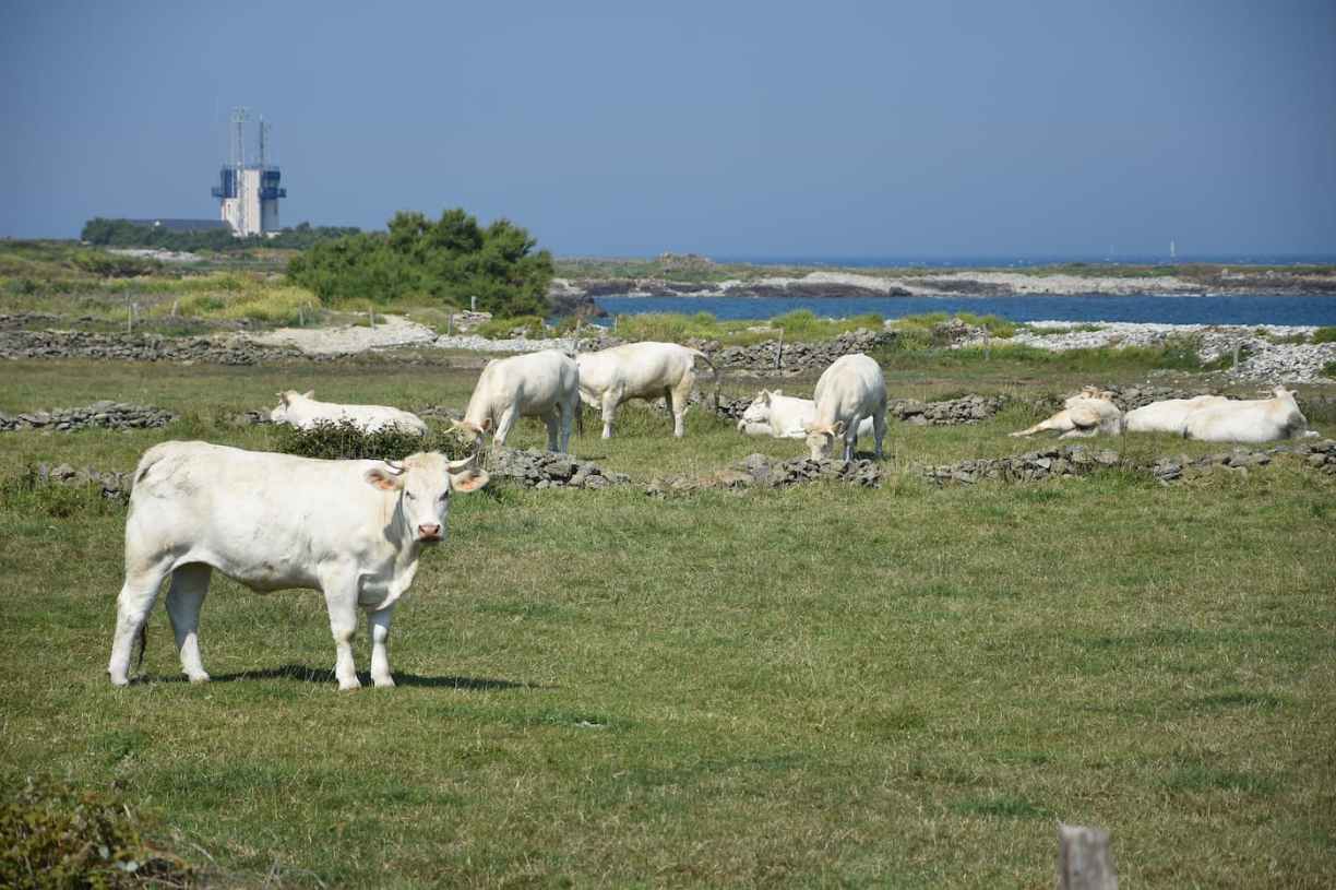 Normandie La Hague GR223