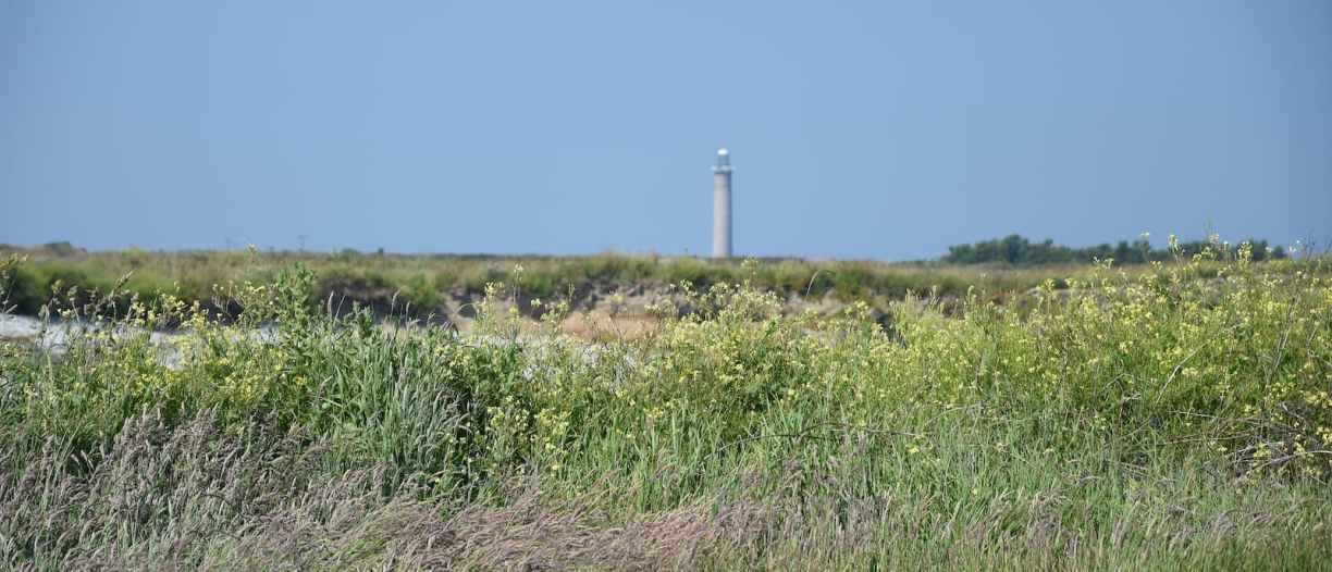 Normandie Phare de Goury vu du GR