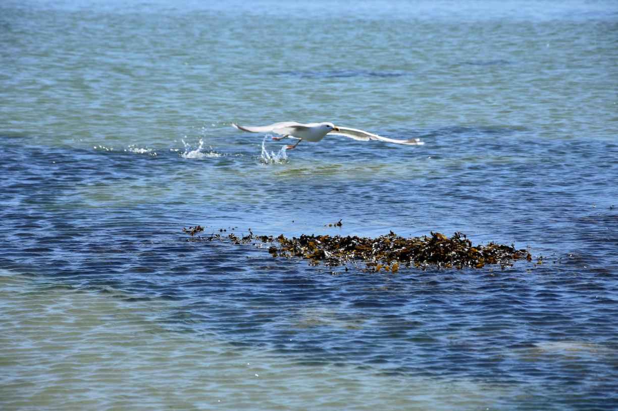 Normandie Pointe de Saire