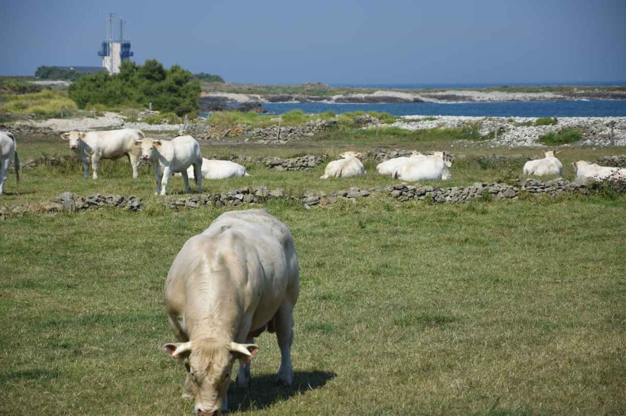 Normandie La Hague GR223