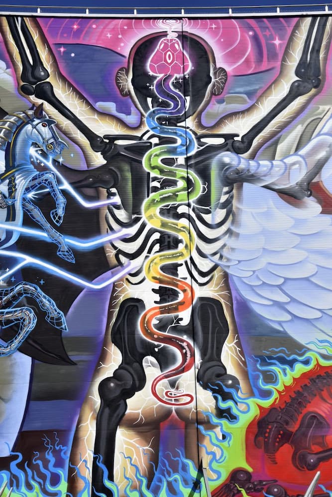 Mural Harbor Gallery de Linz en Autriche 