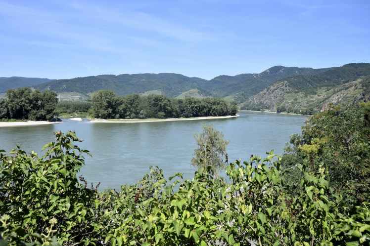 Paysage de vignobles dans la vallée de la Wachau lors d'un road trip en Autriche