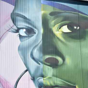 Visage peint à Linz