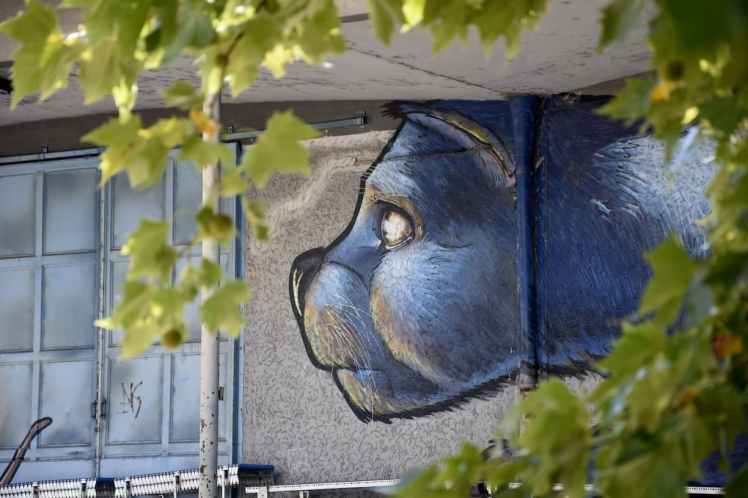 Chat peint sur un mur du port de Linz en Autriche