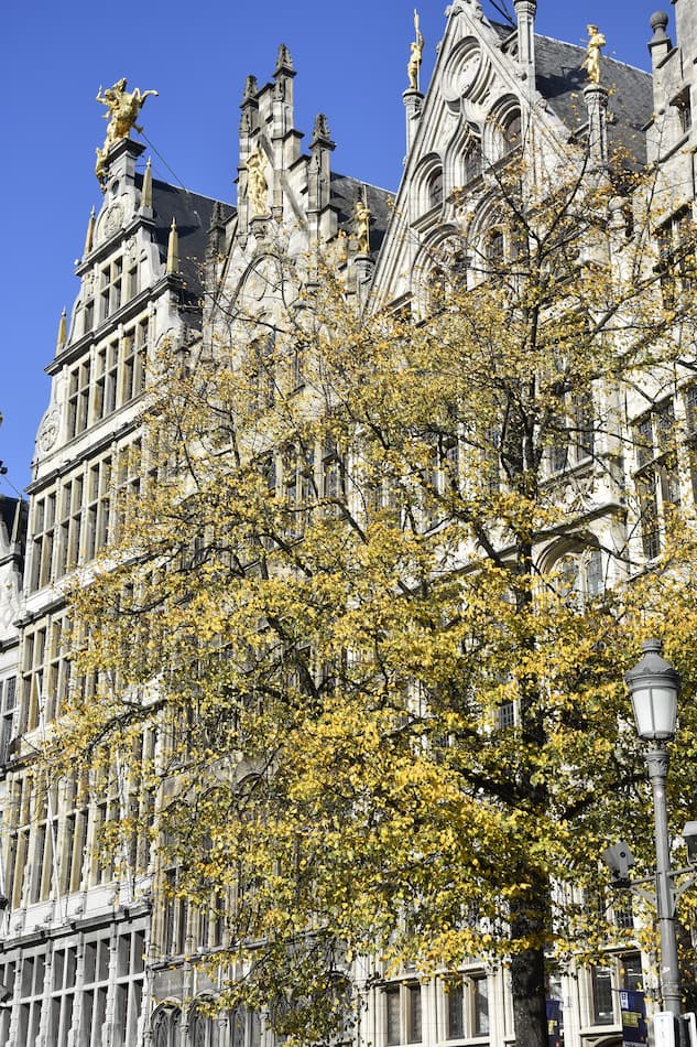 Belgique Les maison des guildes sur la Grand Place d'Anvers