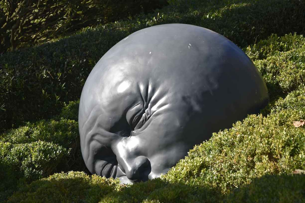 Normandie : les têtes des Jardins d'Étretat 