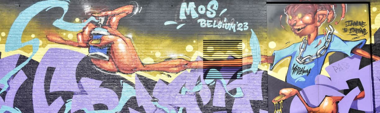 Belgique Street art Zomerfabriek Anvers