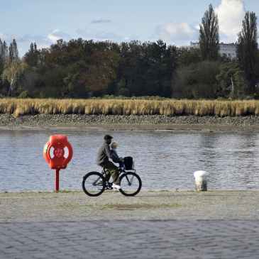 Cyclistes sur l'Escaut à Anvers