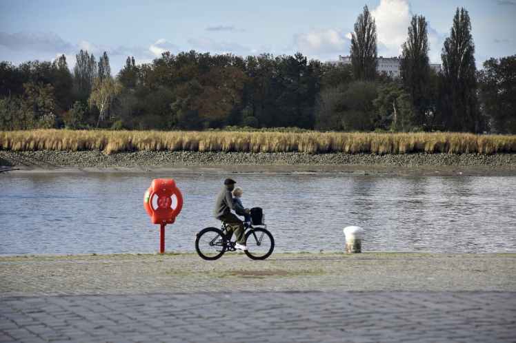 Cyclistes sur l'Escaut à Anvers