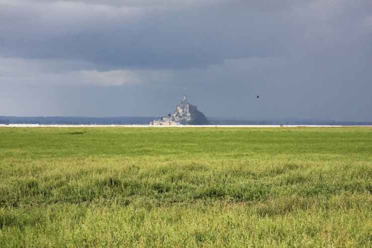 Randonnée dans la baie du Mont-Saint-Michel Normandie
