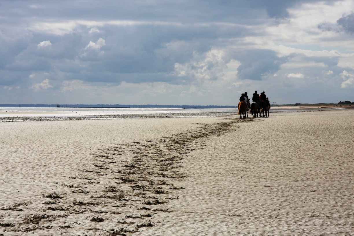 Cavaliers dans la baie du Mont-Saint-Michel Normandie