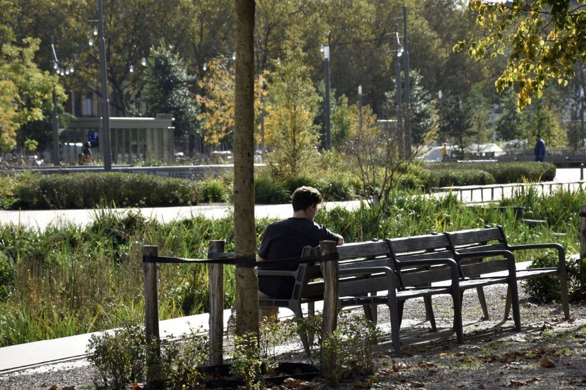 Belgique Parc du quartier du Zuid à Anvers