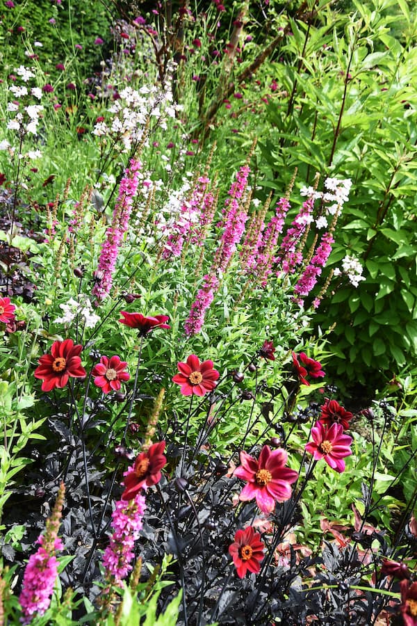 Normandie Pays d'Auge jardin rouge Boutemont