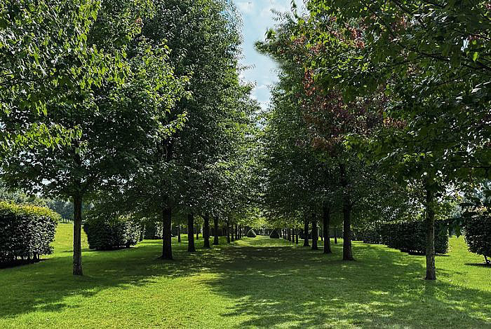 Normandie Pays d'Auge jardin Boutemont