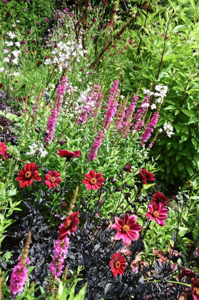 Normandie Pays d'Auge jardin rouge Boutemont