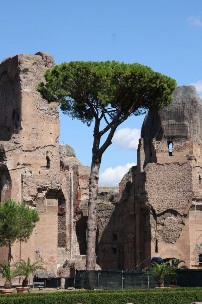 Rome pan de murs en ruines aux Thermes de Caracalla