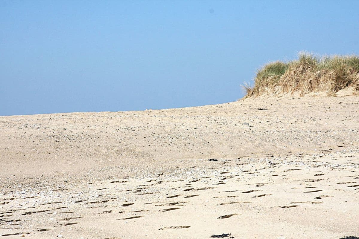 Normandie Dune de la pointe d'Agon
