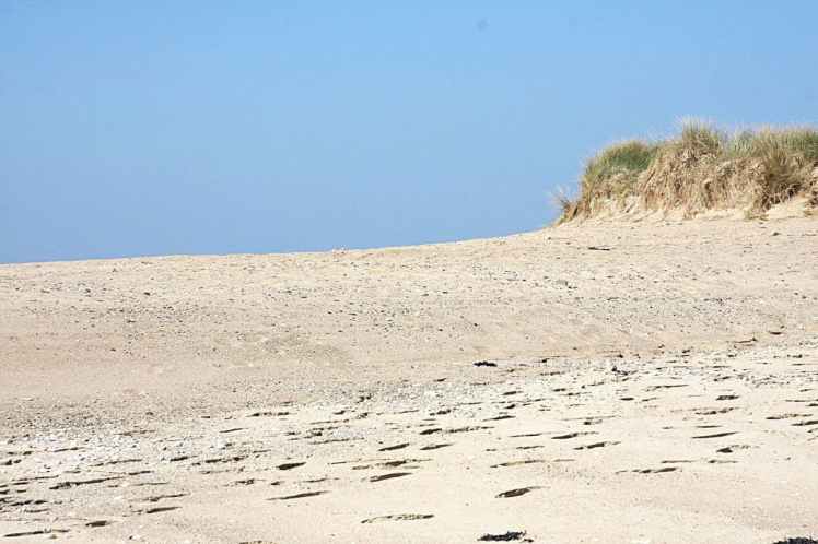 Normandie Dune de la pointe d'Agon