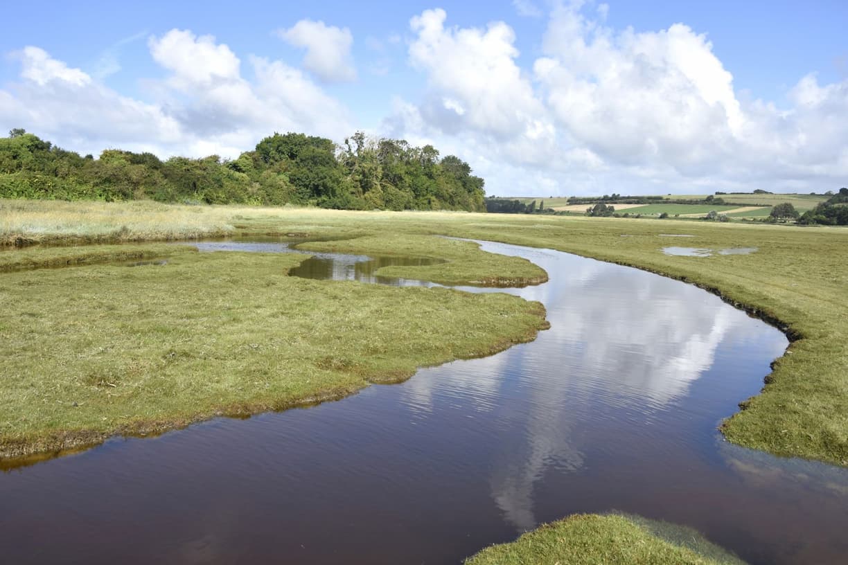 Le havre de la Sienne et ses herbus