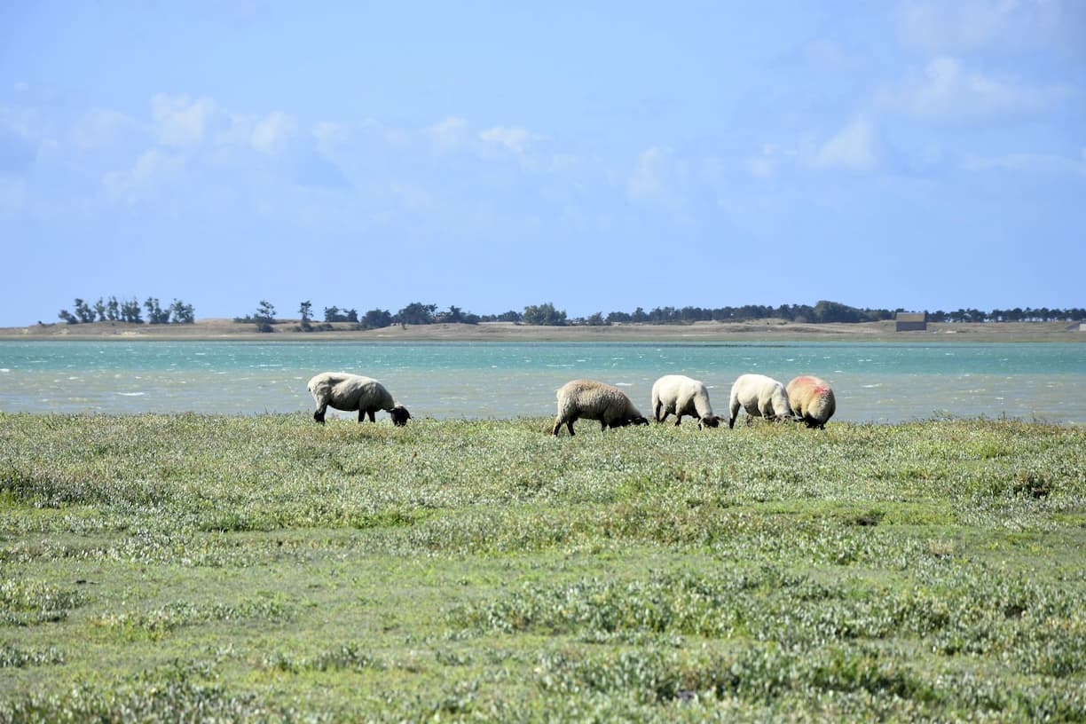 Normandie Le havre de Regnéville