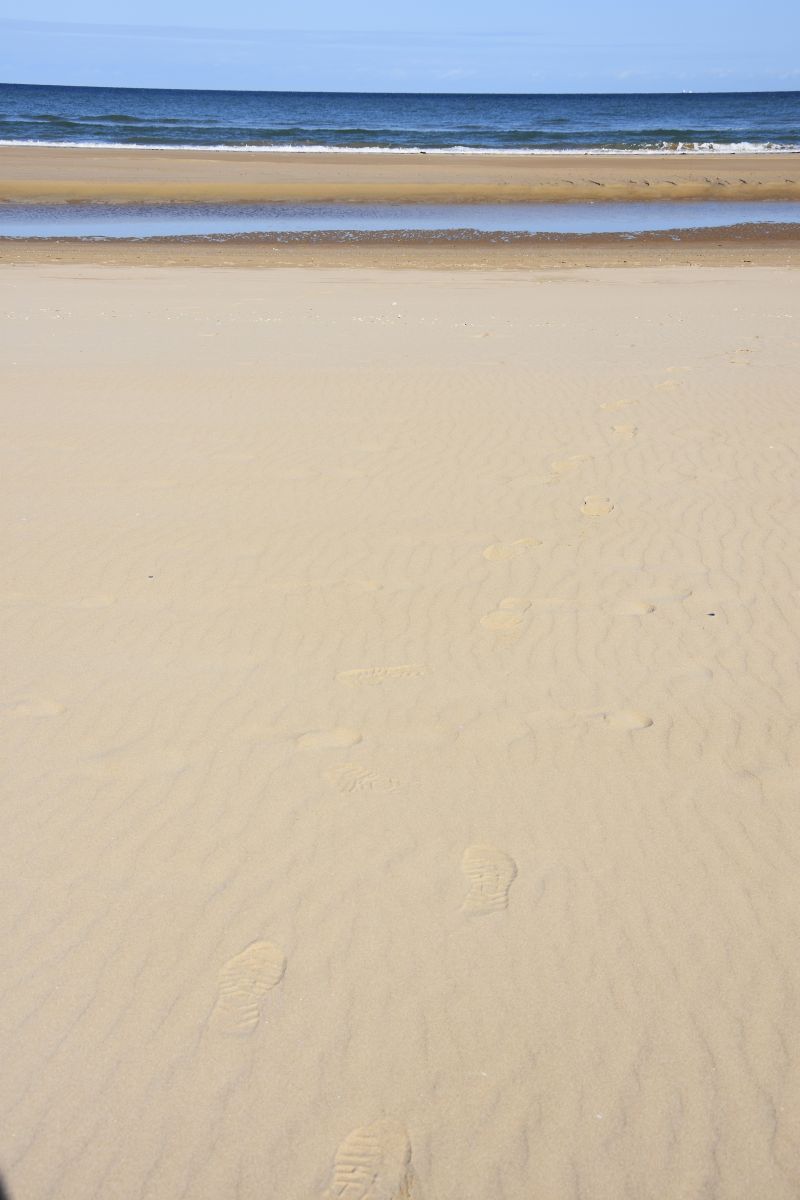 Débarquement de Normandie Omaha Beach