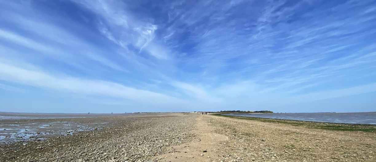 Charente-Maritime Ile Madame la passe aux bœufs