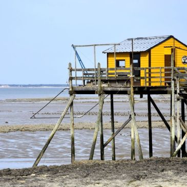 Carrelet île Madame