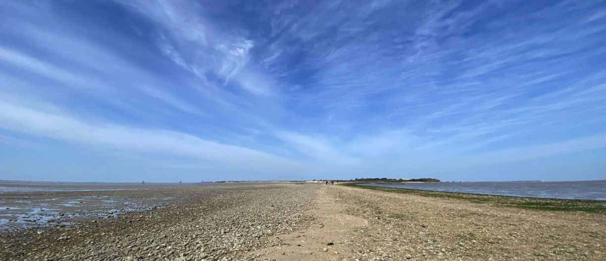 Charente-Maritime Ile Madame la passe aux boeufs