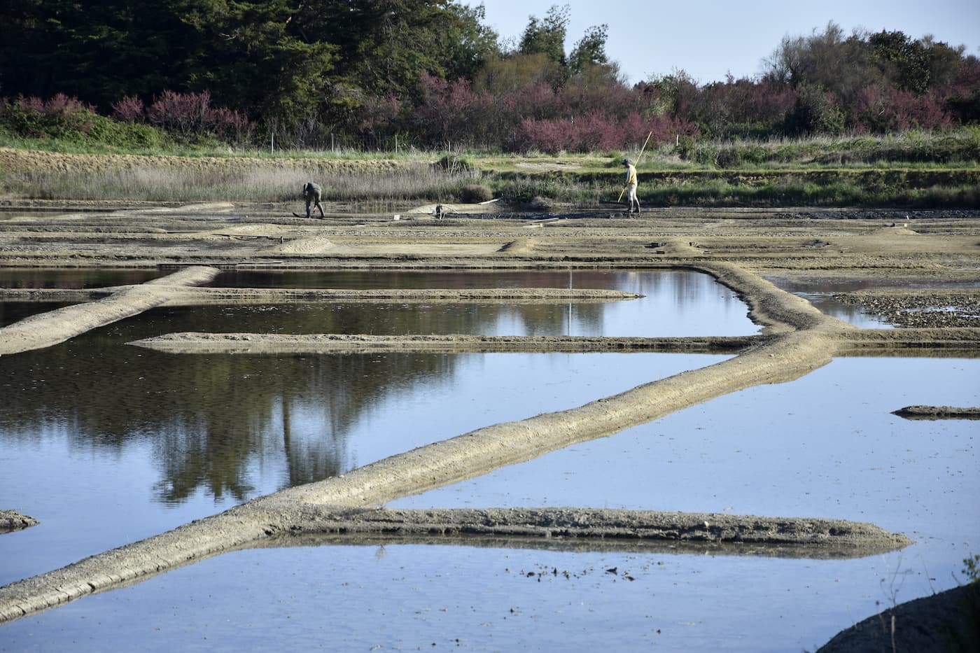 Oléron Les Salines : rénovation