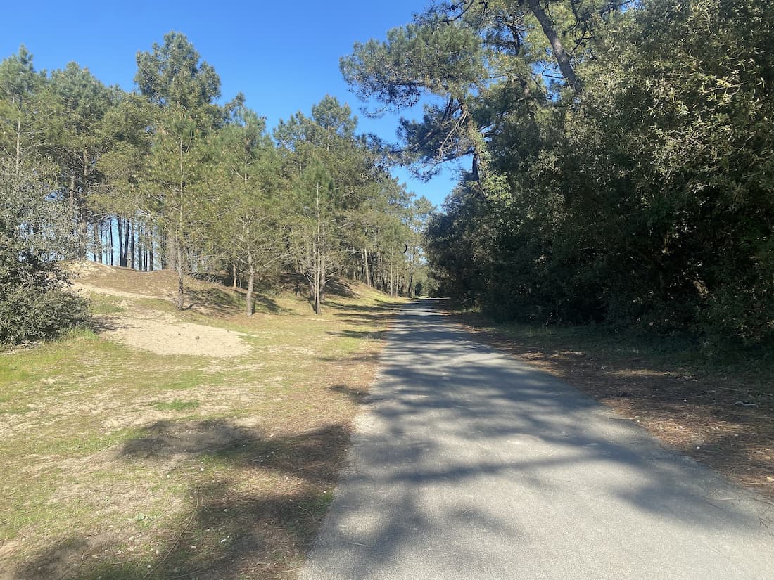 Forêt de la Coubre la Tremblade Charente-Maritime 