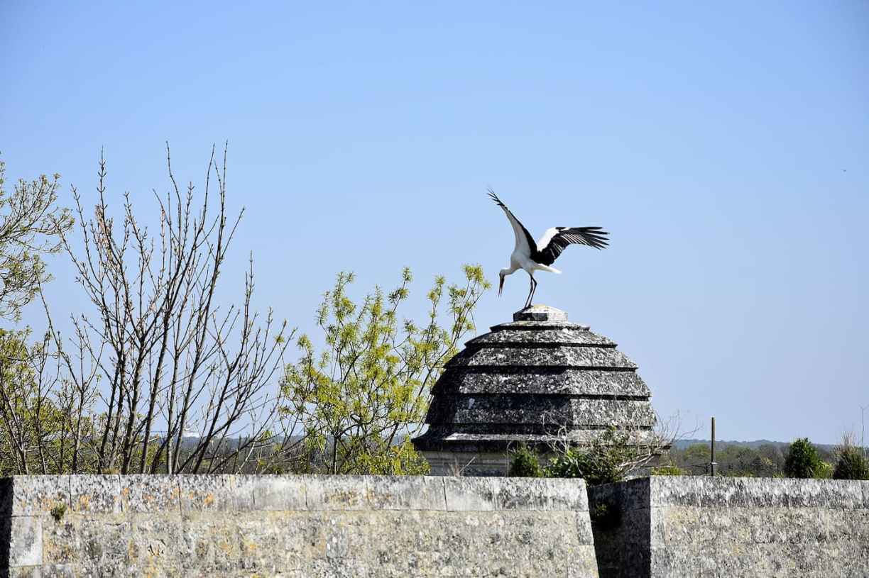 Charente-Maritime remparts de Brouage