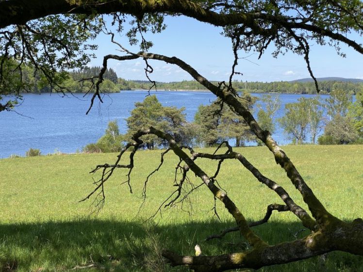Paysage du lac de Vassivière en Creuse
