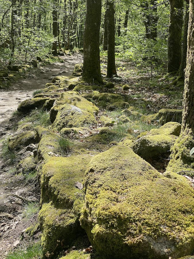 Les Pierres Jaumâtres en Creuse