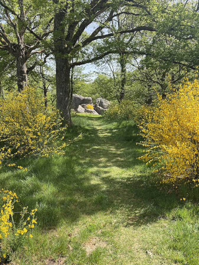 Boussac les Pierres Jaumâtres forêt Creuse 