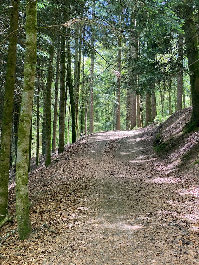 Creuse Lac de Vassivière île restaurant
