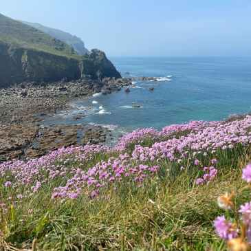Nez de Jobourg randonnée
