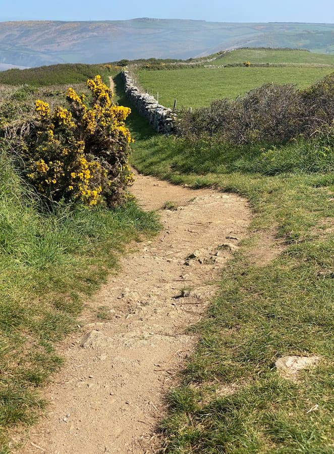 Manche La Hague Nez de Jobourg