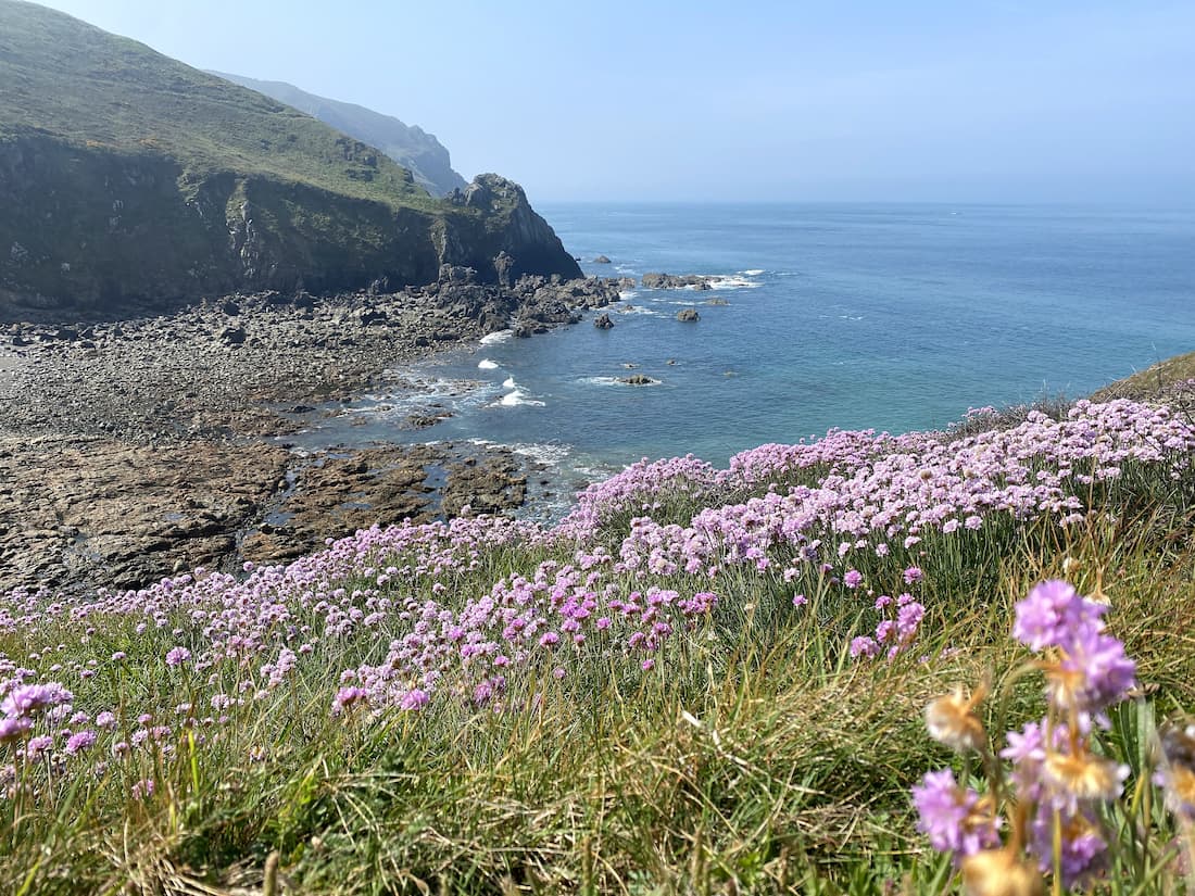 Normandie : randonnée au Nez de Jobourg dans la Hague
