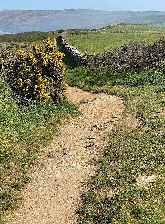 Normandie Manche La Hague Nez de Jobourg
