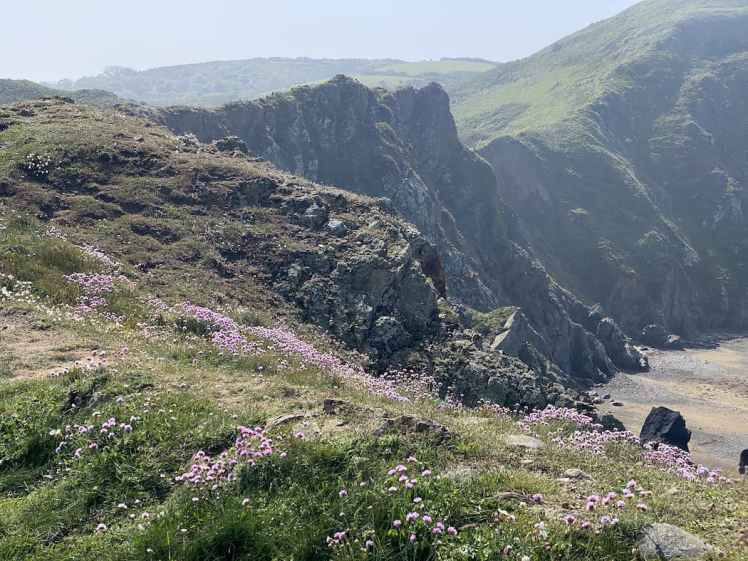 Normandie Manche Nez de Jobourg