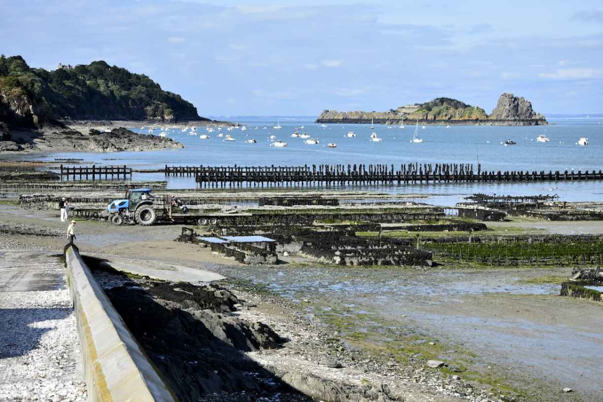 Bretagne Cancale parcs à huitres