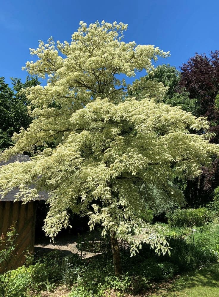 Normandie Cambremer Jardins du Pays d'Auge
