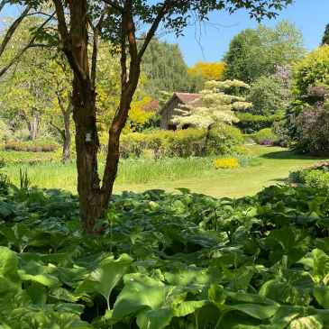 Sous-bois Jardins du Pays d'Auge