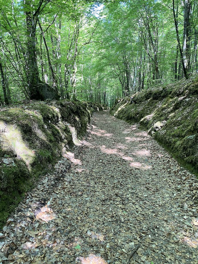 Suisse Normande : randonnée autour de Rabodanges