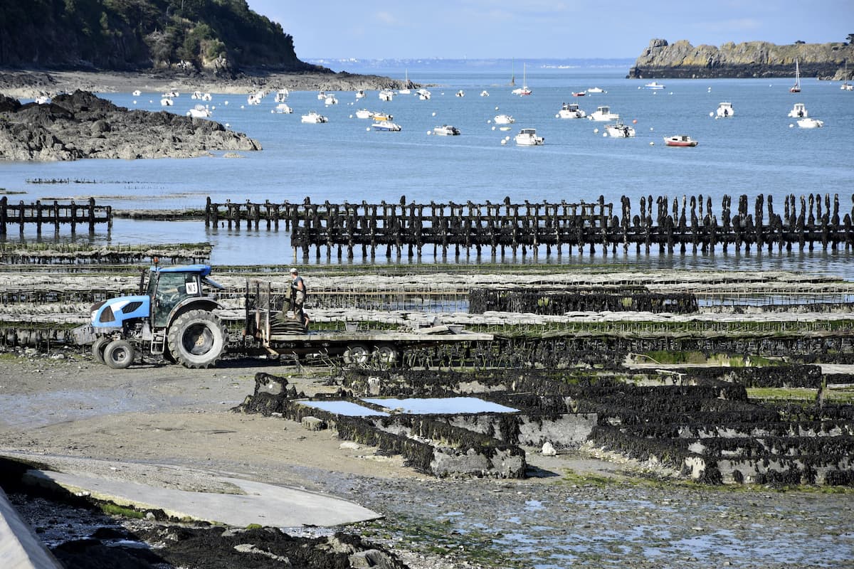 Bretagne Parcs à huitres de Cancale